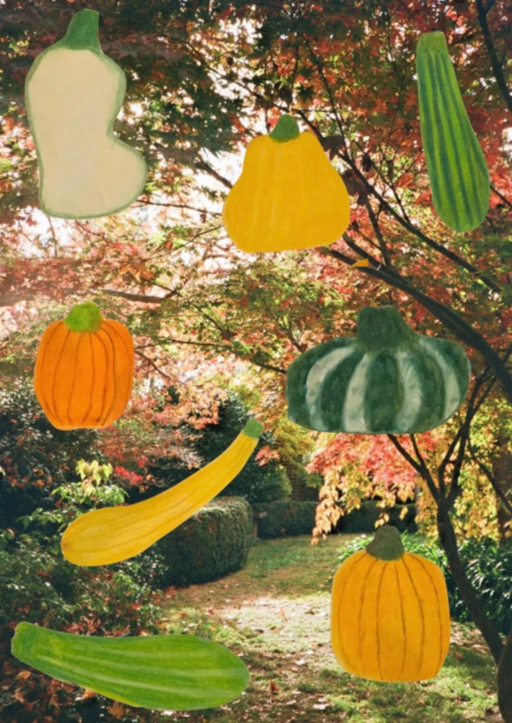 Squash Season Postcard