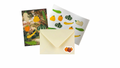 POP Snail Mail Club